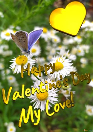 My Love! Happy Valentine`s Day  My Love!