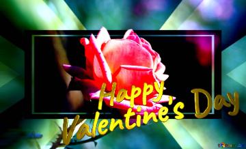 Happy Valentine`s Day Pink Rose Flower Infographic Template Banner Design