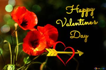 Happy Valentine`s Day Flower Red Poppies Flowers Background