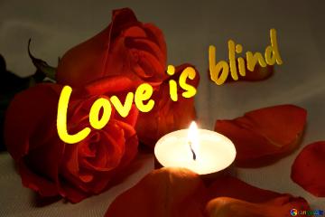 Love Is Blind Romantic  Night