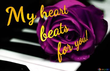 Love Music. My Heart Beats For You! Rose Flower Music Background