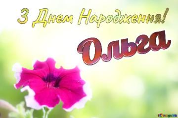 З Днем Народження! Ольга  Beautiful Background With Flower