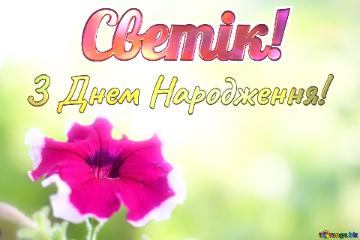 З Днем Народження! Светік!  Beautiful background with flower