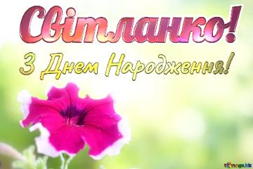 Світланко! З Днем Народження! Beautiful background with flower