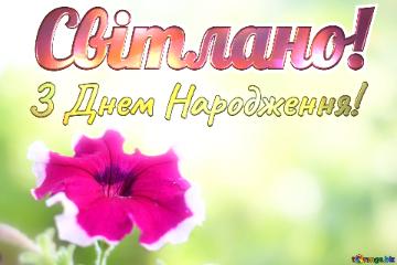 З Днем Народження! Світлано!  Beautiful background with flower