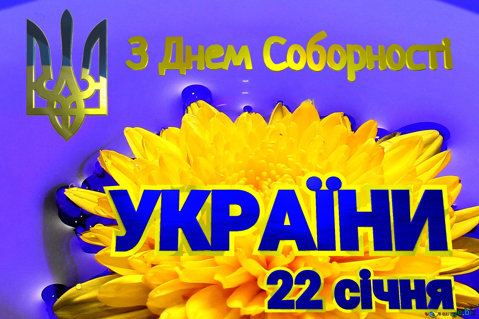 З Днем Соборності  УКРАЇНИ 22 січня   Ukrainian flower №37279