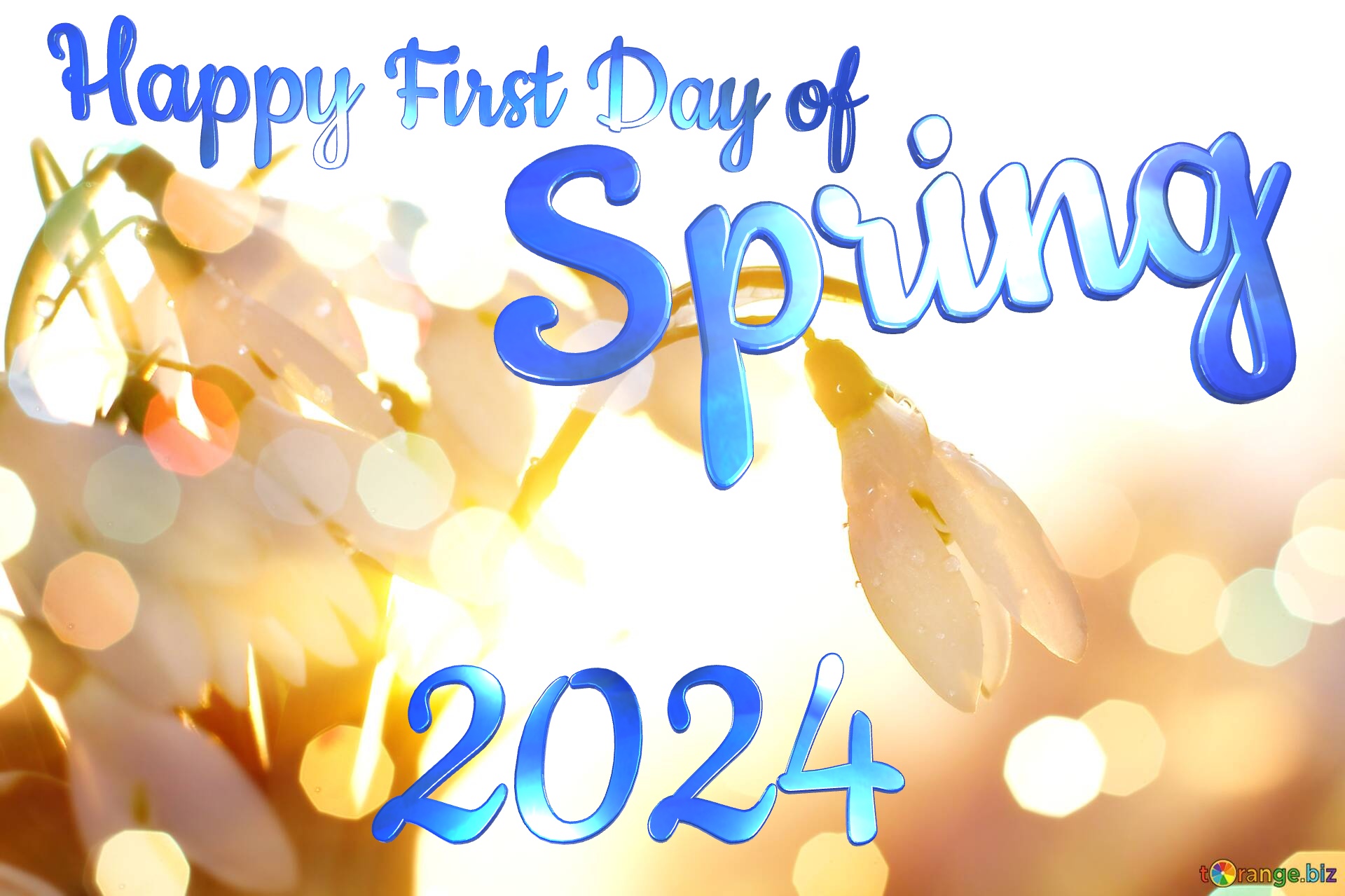 Happy First Day Of Spring 2024 Naomi Virgina