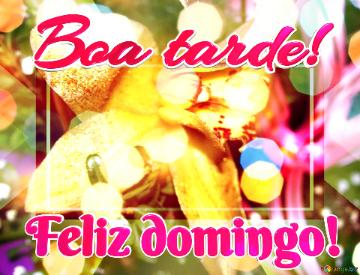 Boa Tarde! Feliz Domingo!  Salty-free Blooms: Wishing You Good Floral Times