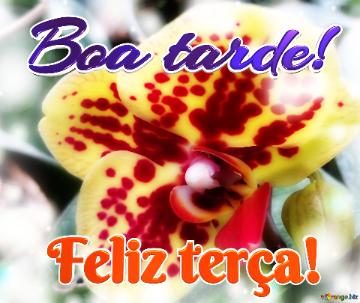 Boa Tarde! Feliz Terça!  Savage Blossoms: Wishing You Bold Happiness