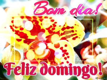 Bom Dia! Feliz Domingo!  Bless Up Bouquet: Greetings With Positive Energy