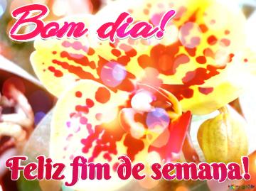 Bom Dia! Feliz Fim De Semana!  Thicc Blossoms: Sending Love And Good Vibes