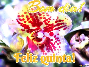 Bom Dia! Feliz Quinta!  Flexin` Harmony: Greetings In Full Excitement
