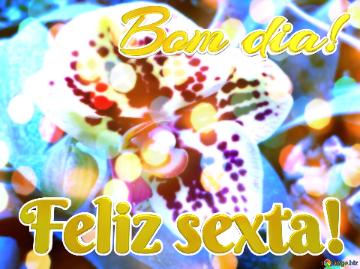 Bom Dia! Feliz Sexta!  Squad Blooms: Greetings With Floral Vibes