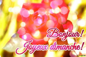 Bonjour! Joyeux Dimanche!  Wishful Roses: Love Blooms In Greetings
