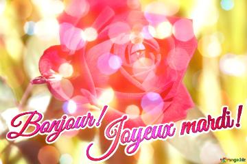 Bonjour! Joyeux Mardi!  Floral Bliss: Wishing You Radiant Happiness