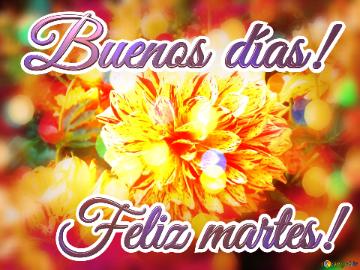 Buenos Días! Feliz Martes!  Lit Af Roses: Love Blooms In Greetings
