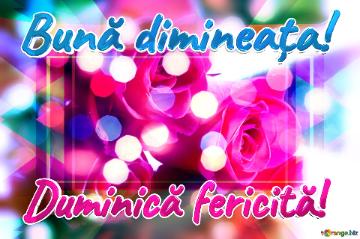 Bună dimineața! Duminică fericită!  Blooms of Affection: Roses in Love`s Greetings