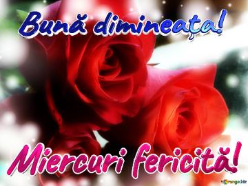 Bună dimineața! Miercuri fericită! 