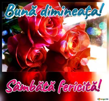 Bună dimineața! Sâmbătă fericită!  Rose Serenade: Greetings of Love in Floral Bloom