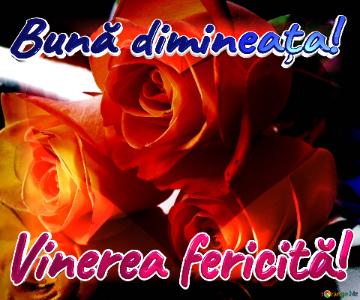 Bună dimineața! Vinerea fericită!  Love`s Canvas: Roses Blossom in Background Elegance