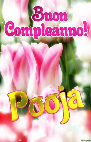 Pooja Buon  Compleanno! Che questi tulipani ti portino la forza e il coraggio per affrontare ogni giorno della tua vita.