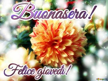 Buonasera! Felice Giovedì!  Lit Af Petals: Love Blooms In Greetings