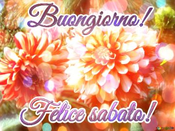 Buongiorno! Felice Sabato!  Flexin` Harmony: Greetings In Full Excitement