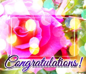 Congratulations!  Blooms Of Love: Wishful Background Petals