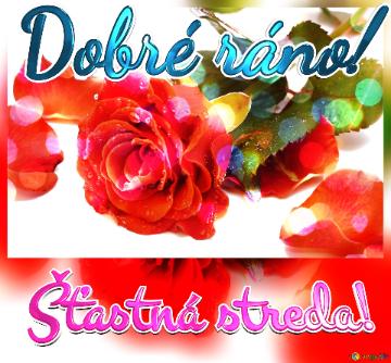 Dobré ráno! Šťastná streda!  Rose Bouquet: Love`s Greetings in Background Elegance