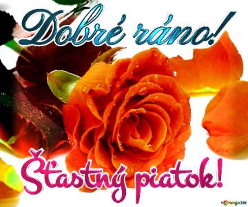 Dobré ráno! Šťastný piatok!  Greetings Radiance: Roses Blossom in Love`s Symphony