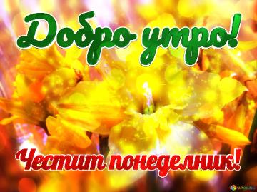 Добро утро! Честит понеделник!  Thicc Roses: Love Blooms In Full Blooming...