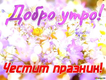 Добро утро! Честит празник!  Abstract Beautiful Daisy Yellow White Flower...