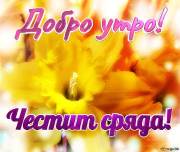 Добро утро! Честит сряда!  Flexin` Affection: Spreading Love And Blooming...