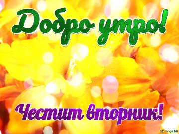 Добро утро! Честит вторник!  Blissful Vibes: Greetings With Joyful Blooming...