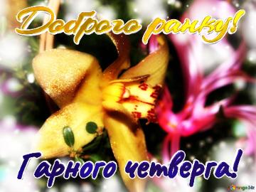 Доброго ранку! Гарного четверга!  Wishing on Petals: Blooms in Full Blooming Elegance