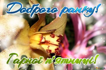 Доброго ранку! Гарної п’ятниці!  Bae Affection: Greetings from the Heart`s Blooming Garden