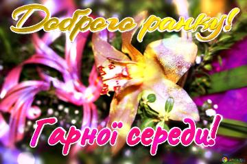 Доброго ранку! Гарної середи!  Blooms of Affection: Greetings in Full Bloom