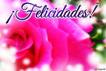 ¡Felicidades!  Floral Wishes Unveiled: Love in Background Harmony