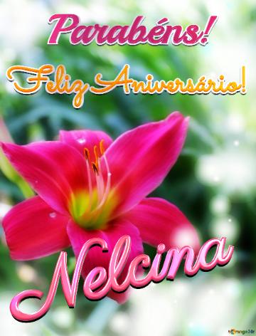 Feliz Aniversário! Parabéns! Nelcina 