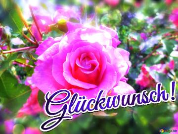 Glückwunsch!  Love`s Bouquet: Wishes Blossom In Background Symphony