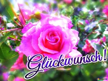 Glückwunsch!  Love`s Bouquet: Wishes Blossom in Background Symphony