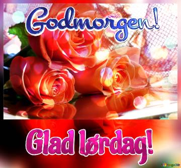 Godmorgen! Glad Lørdag!  Greetings Radiance: Roses Bloom In Love`s Symphony