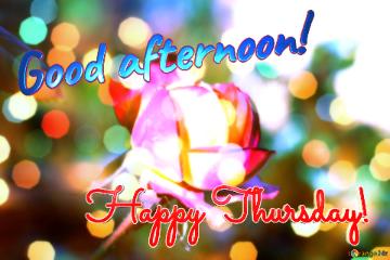 Good afternoon! Happy Thursday!  Background of Wishes: Love Blooms in Harmony