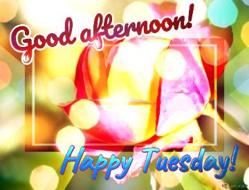 Good afternoon! Happy Tuesday! 