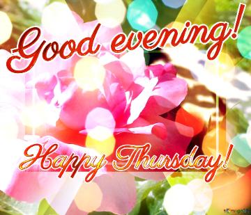 Good evening! Happy Thursday! 