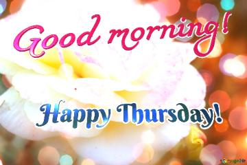 Good Morning! Happy Thursday!  Wishes Unveiled: Love Blossoms In Background