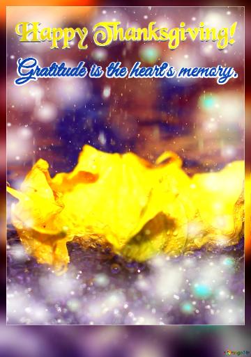 Gratitude Is The Heart`s Memory. Happy Thanksgiving!  Scarlet Splendor