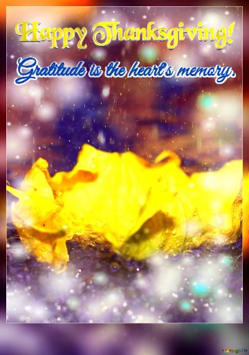 Gratitude is the heart`s memory. Happy Thanksgiving!  Scarlet Splendor