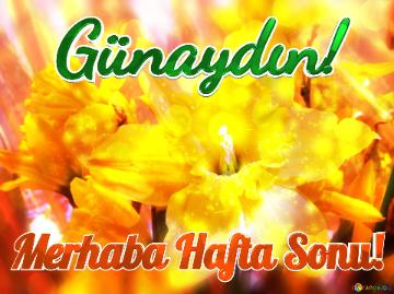 Günaydın! Merhaba Hafta Sonu! 