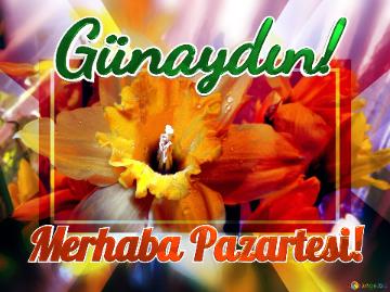 Günaydın! Merhaba Pazartesi! 